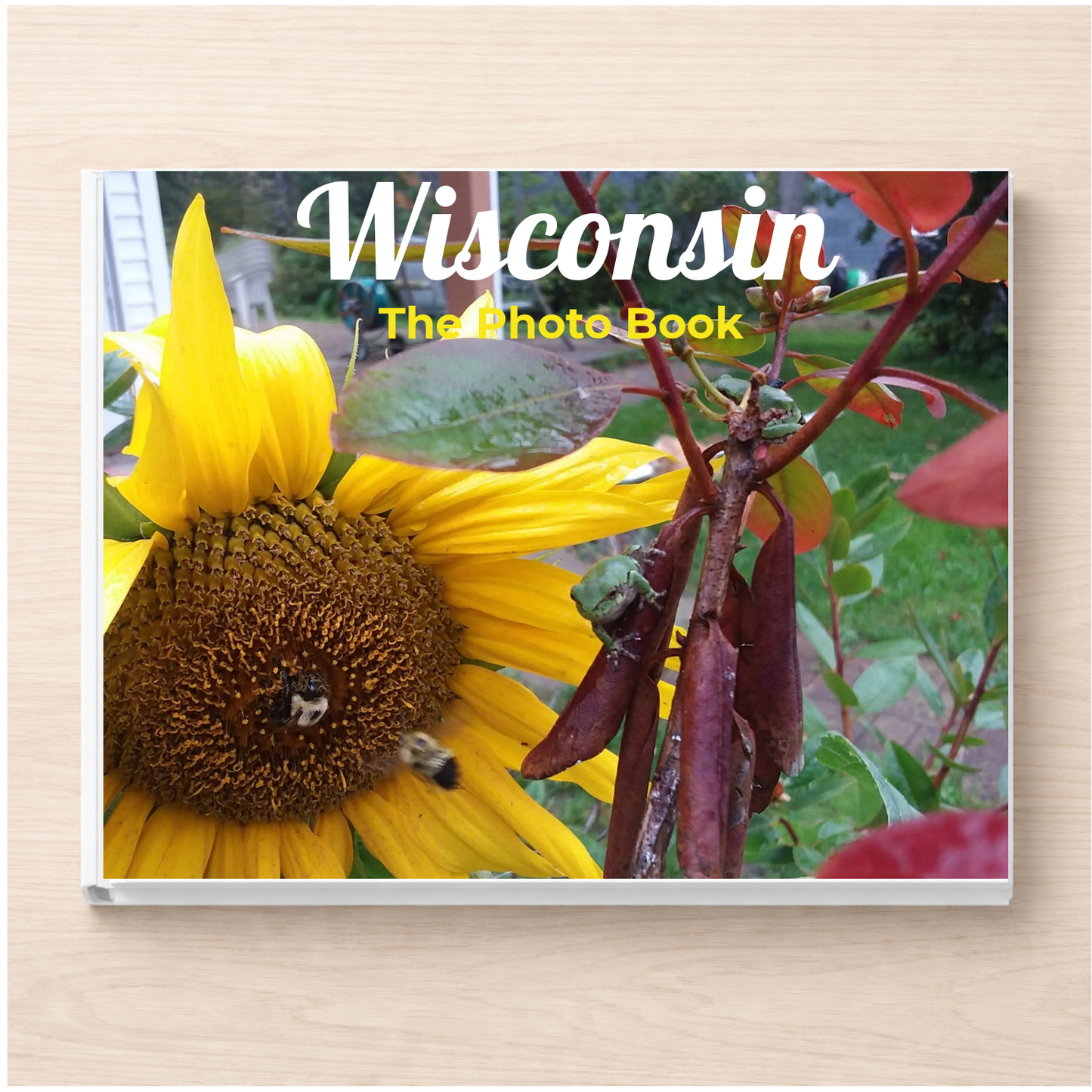 Wisconsin: The Photo Book