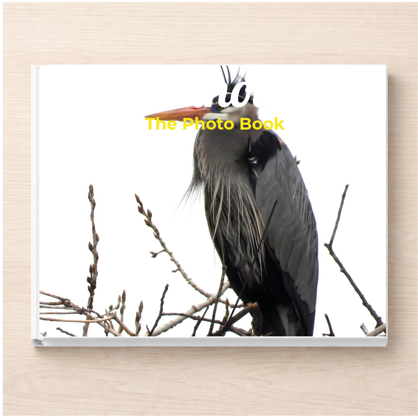 Illinois: The Photo Book
