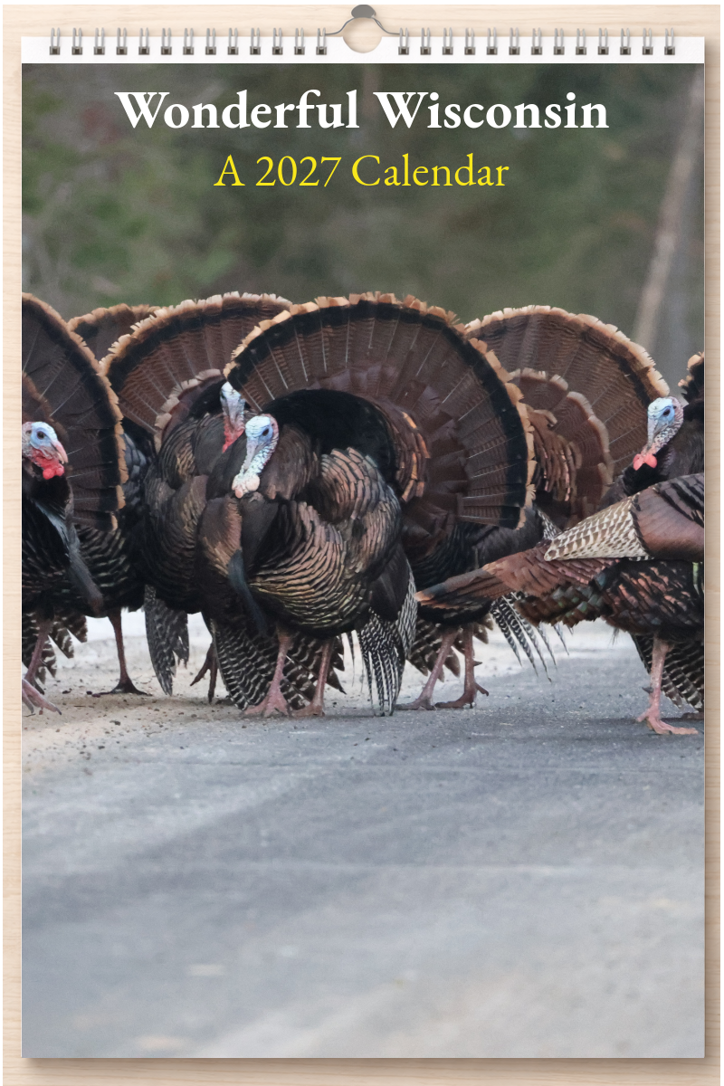 Wonderful Wisconsin: A 2027 Calendar