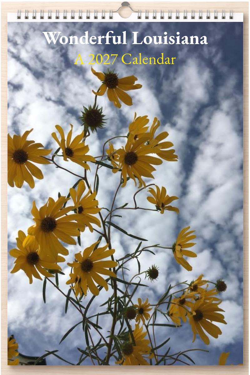 Wonderful Louisiana: A 2027 Calendar
