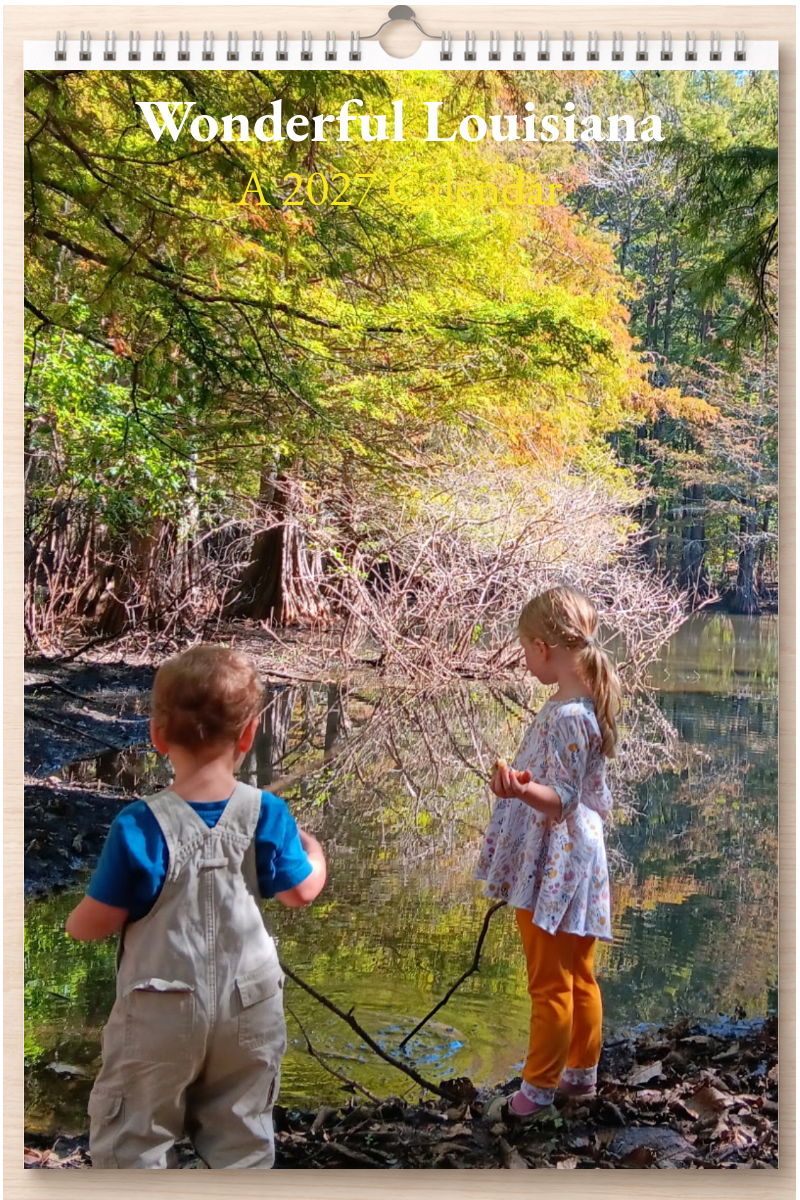 Wonderful Louisiana: A 2027 Calendar