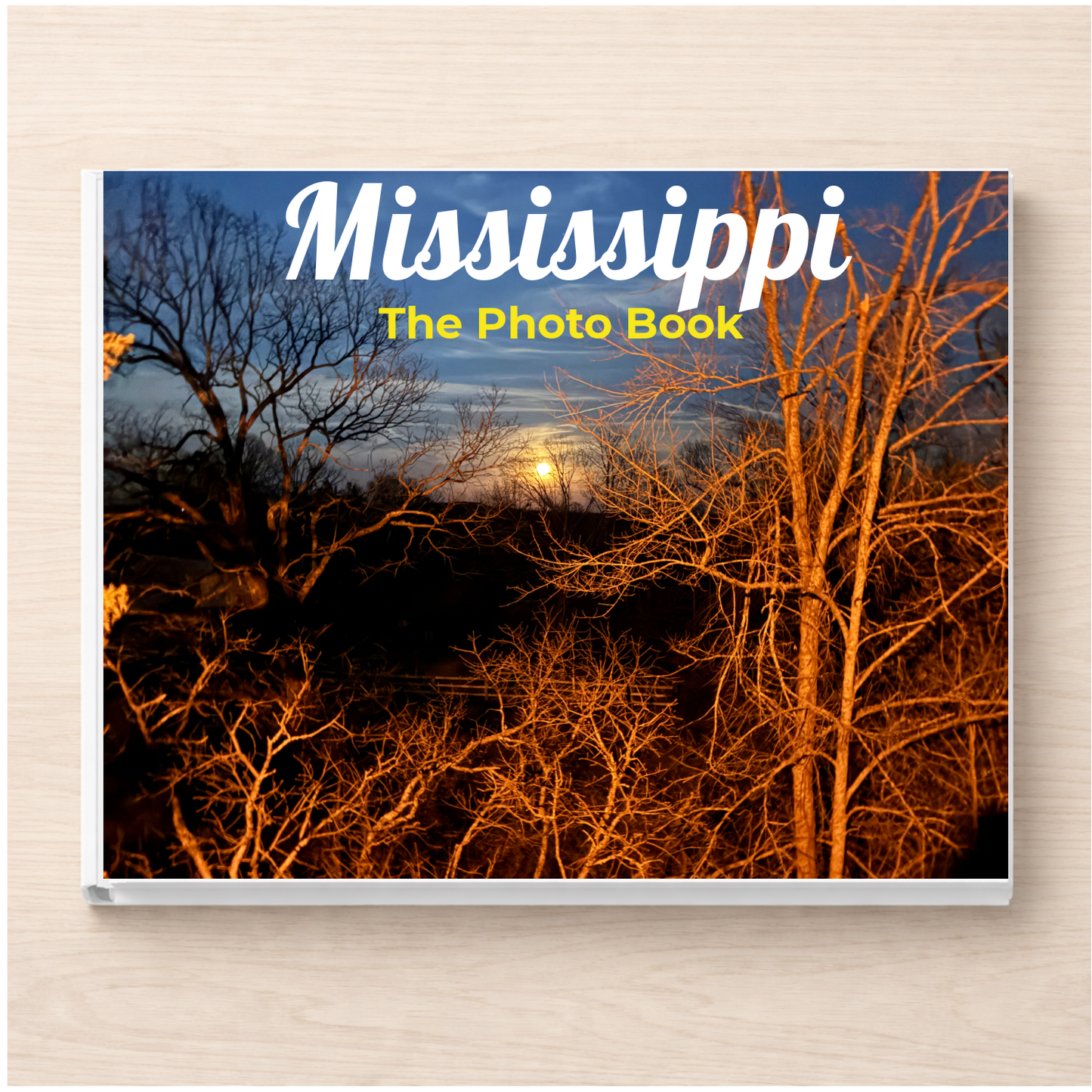 Mississippi: The Photo Book