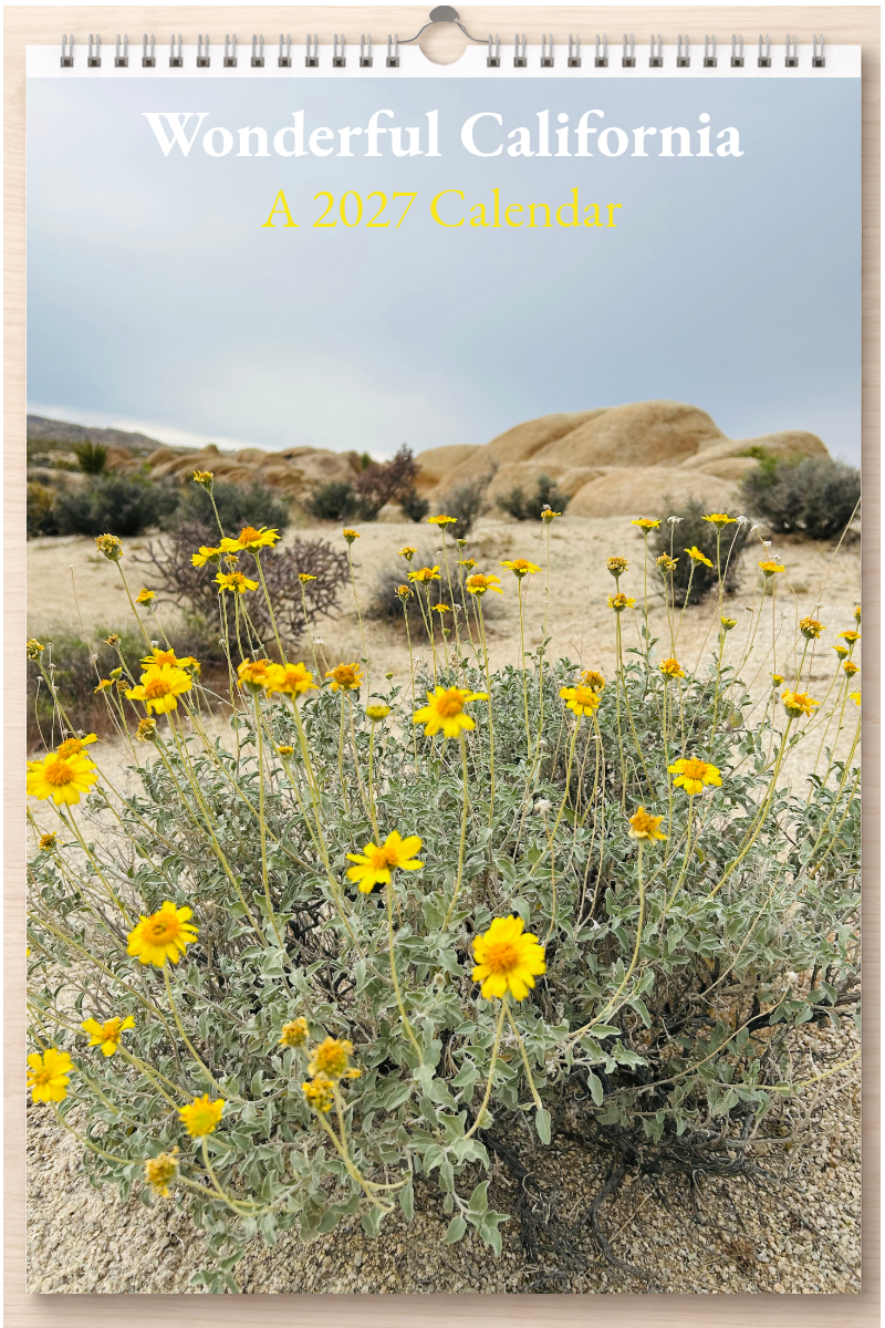 Wonderful California: A 2027 Calendar