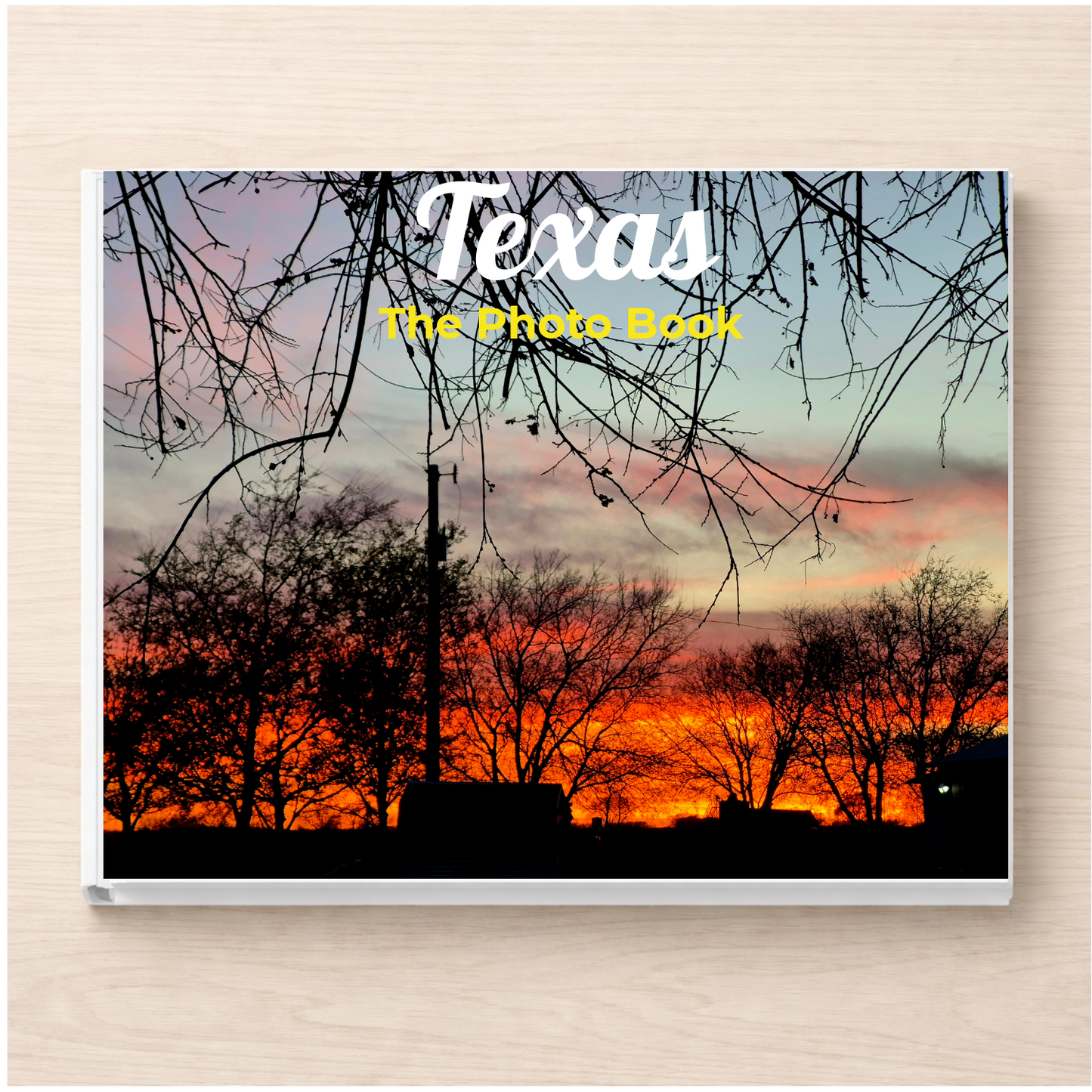 Texas: The Photo Book