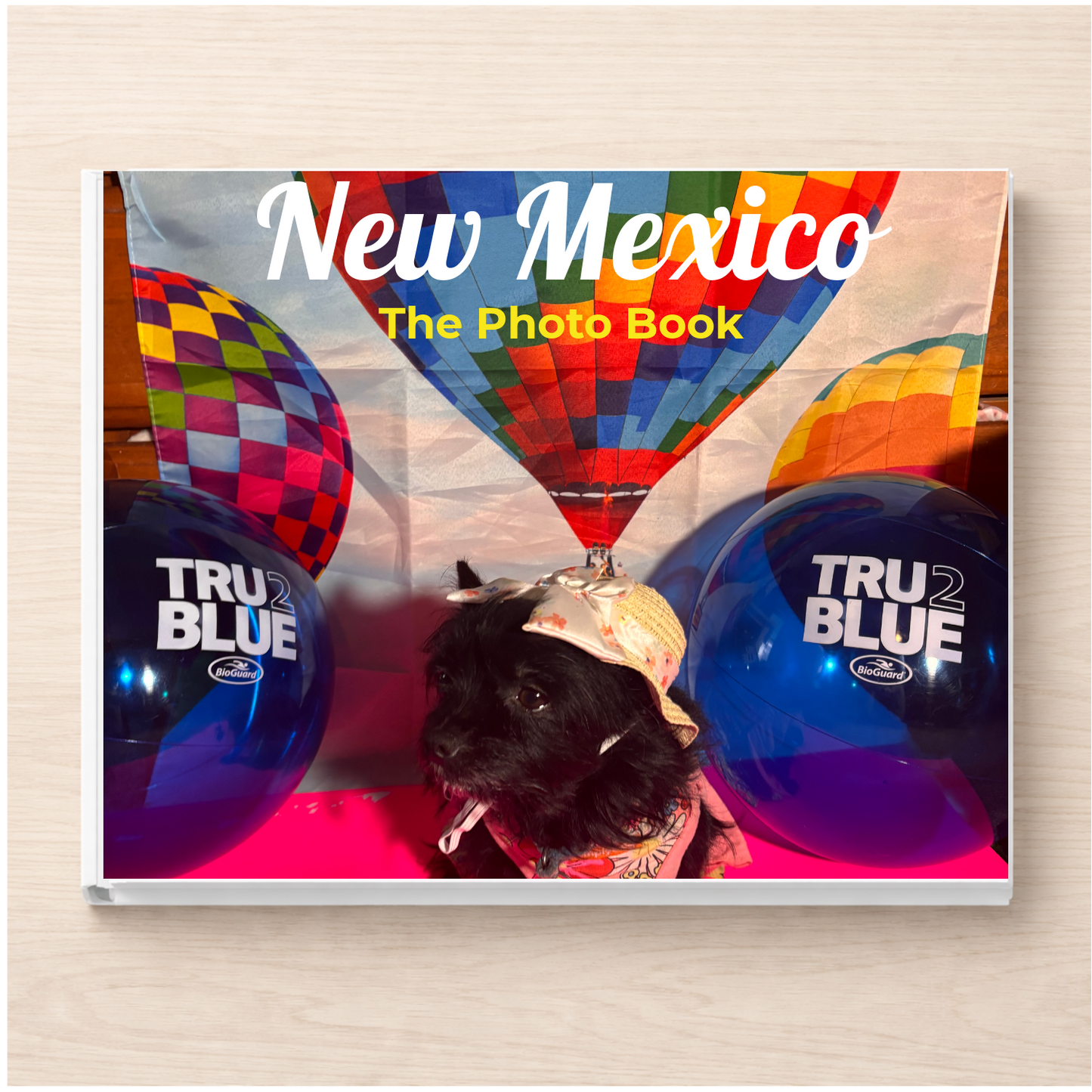 New Mexico: The Photo Book