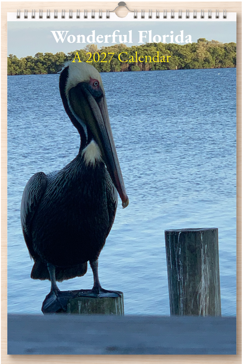 Wonderful Florida: A 2027 Calendar