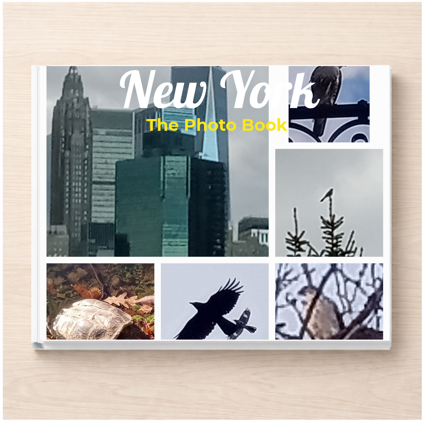 New York: The Photo Book