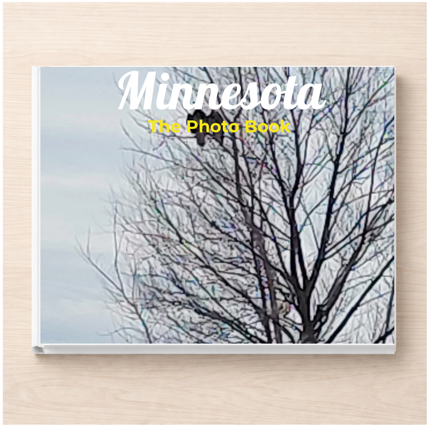 Minnesota: The Photo Book