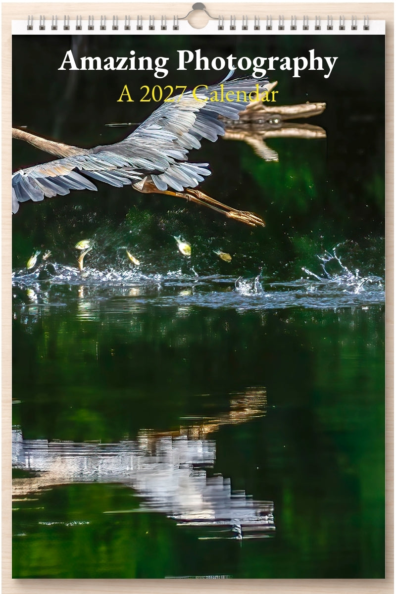 Amazing Photography: A 2027 Calendar