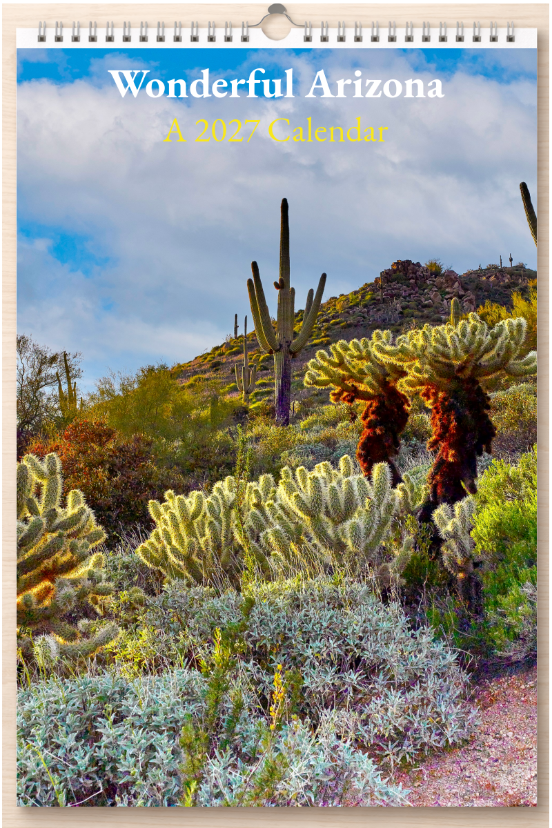 Wonderful Arizona: A 2027 Calendar