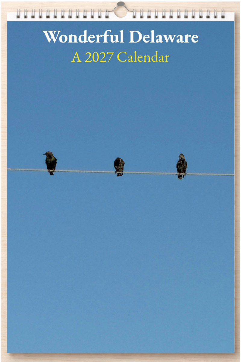 Wonderful Delaware: A 2027 Calendar