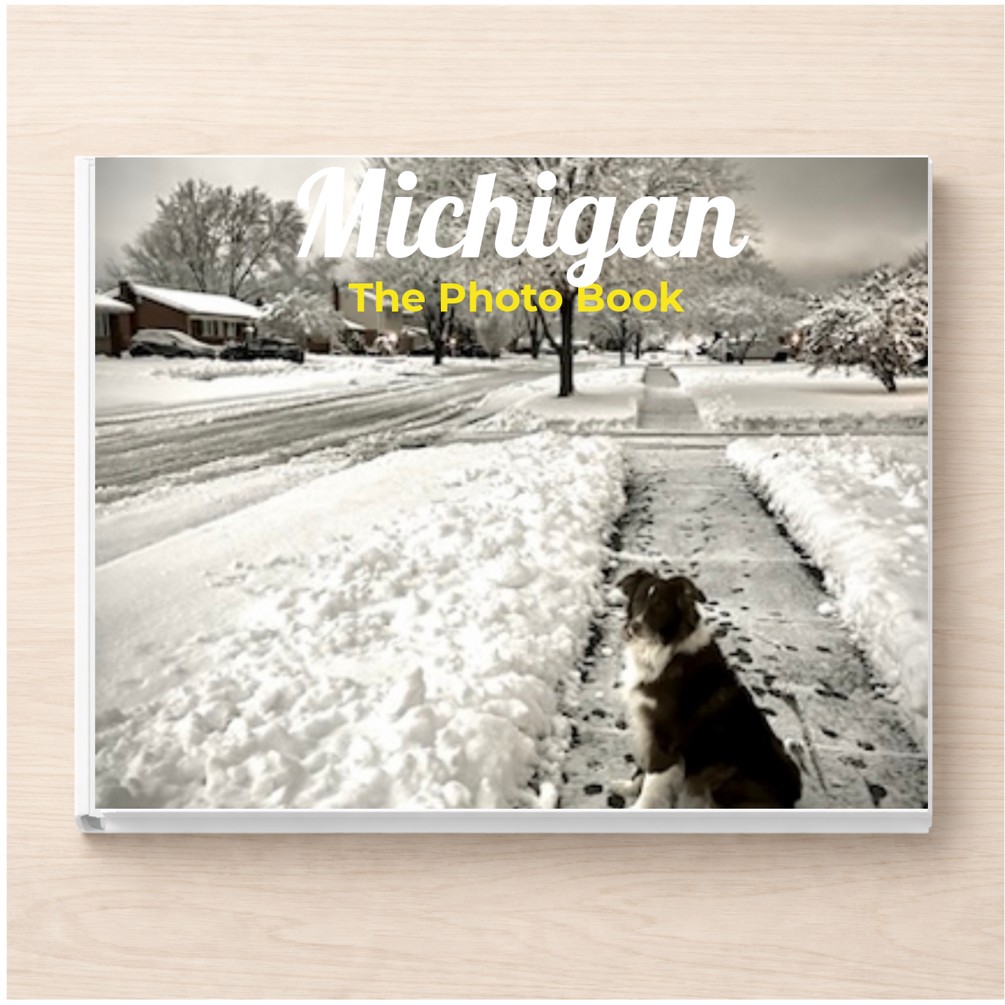 Michigan: The Photo Book
