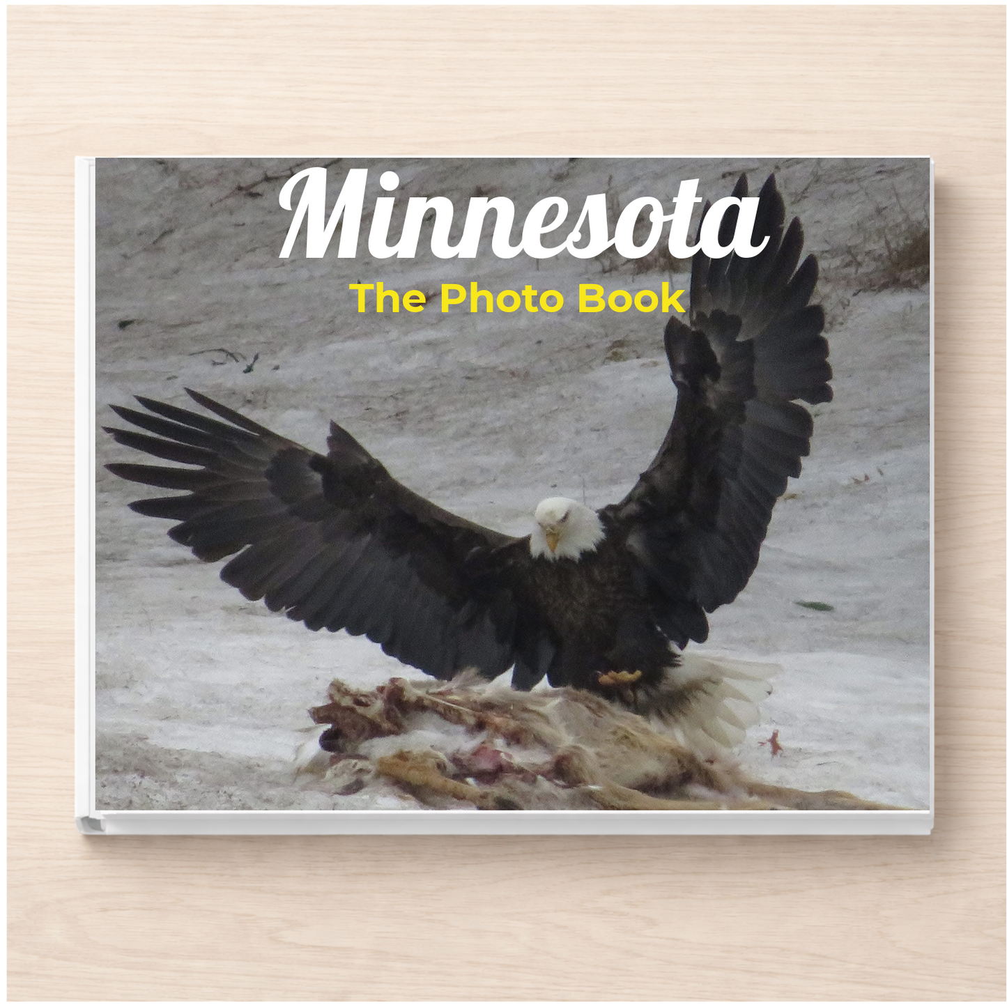 Minnesota: The Photo Book