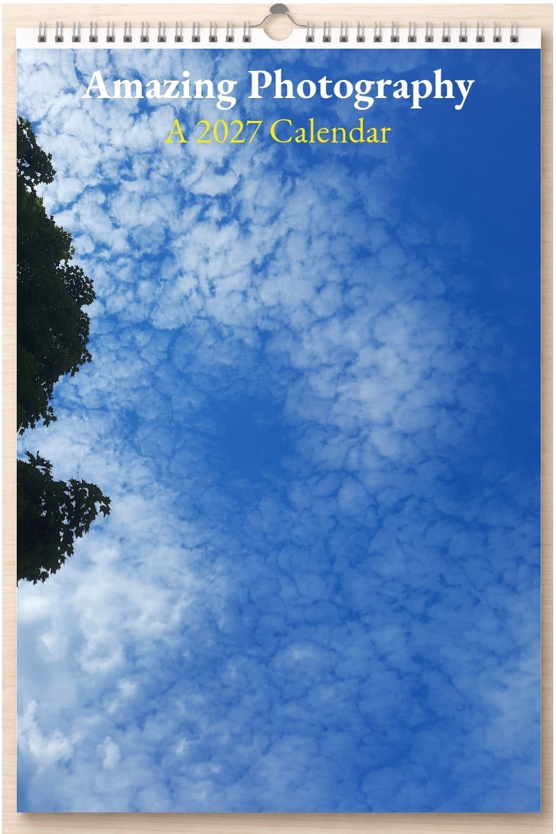 Amazing Photography: A 2027 Calendar