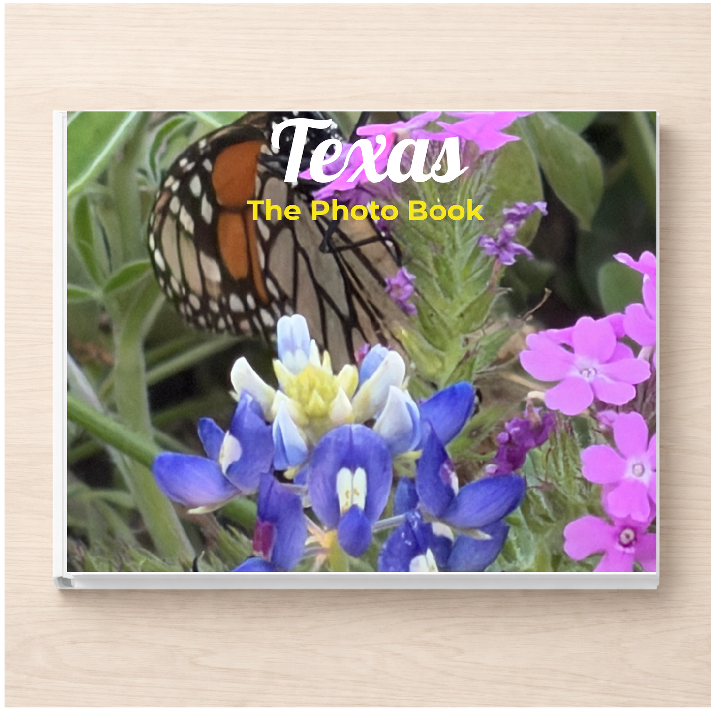 Texas: The Photo Book