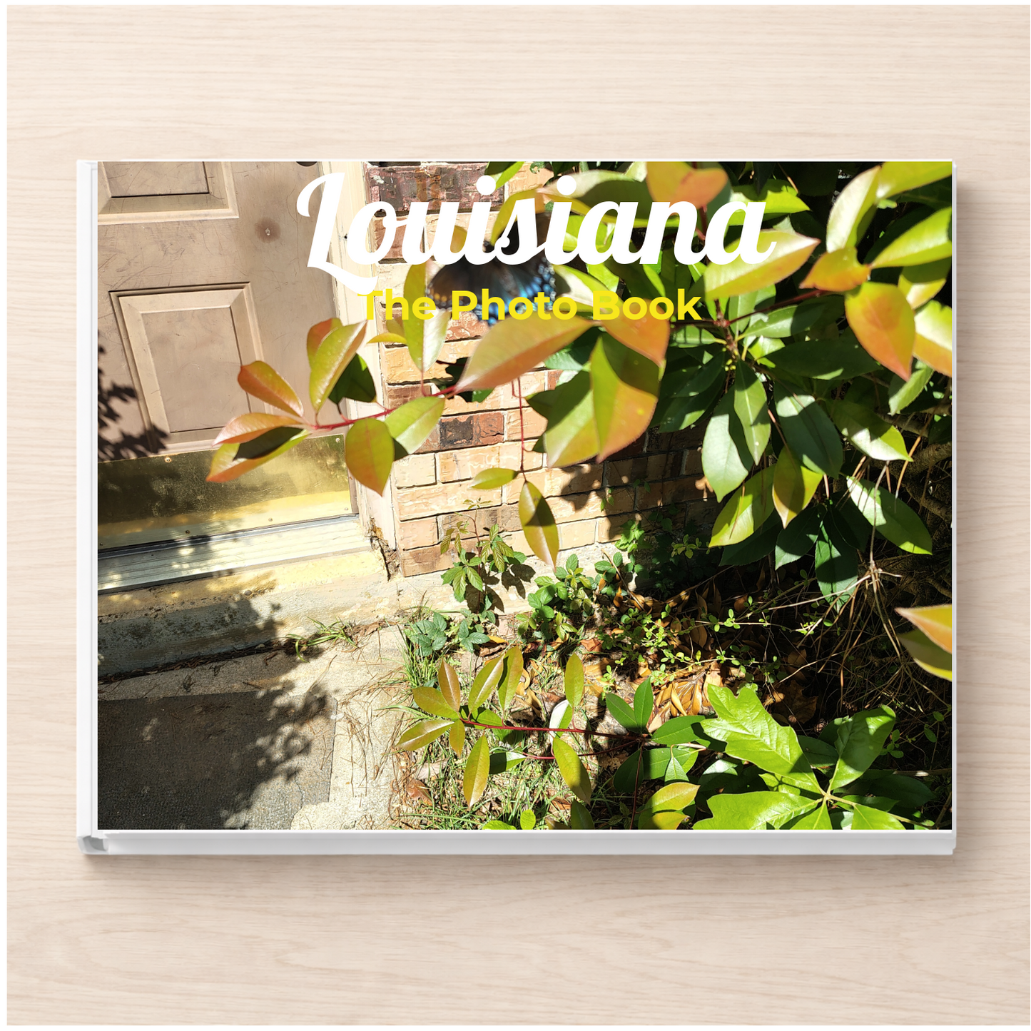 Louisiana: The Photo Book