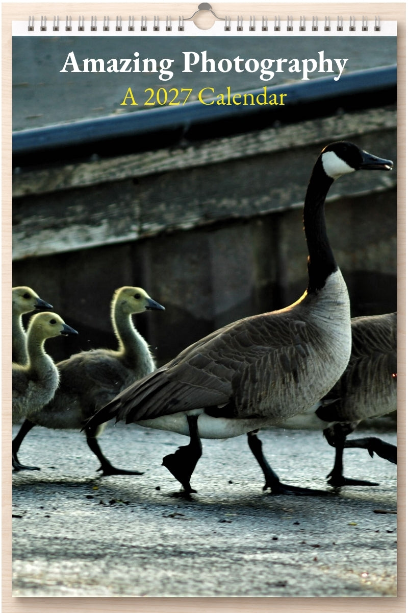 Amazing Photography: A 2027 Calendar
