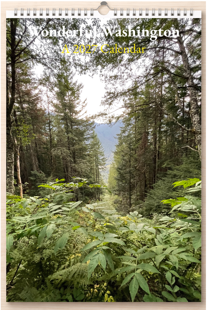 Wonderful Washington: A 2027 Calendar
