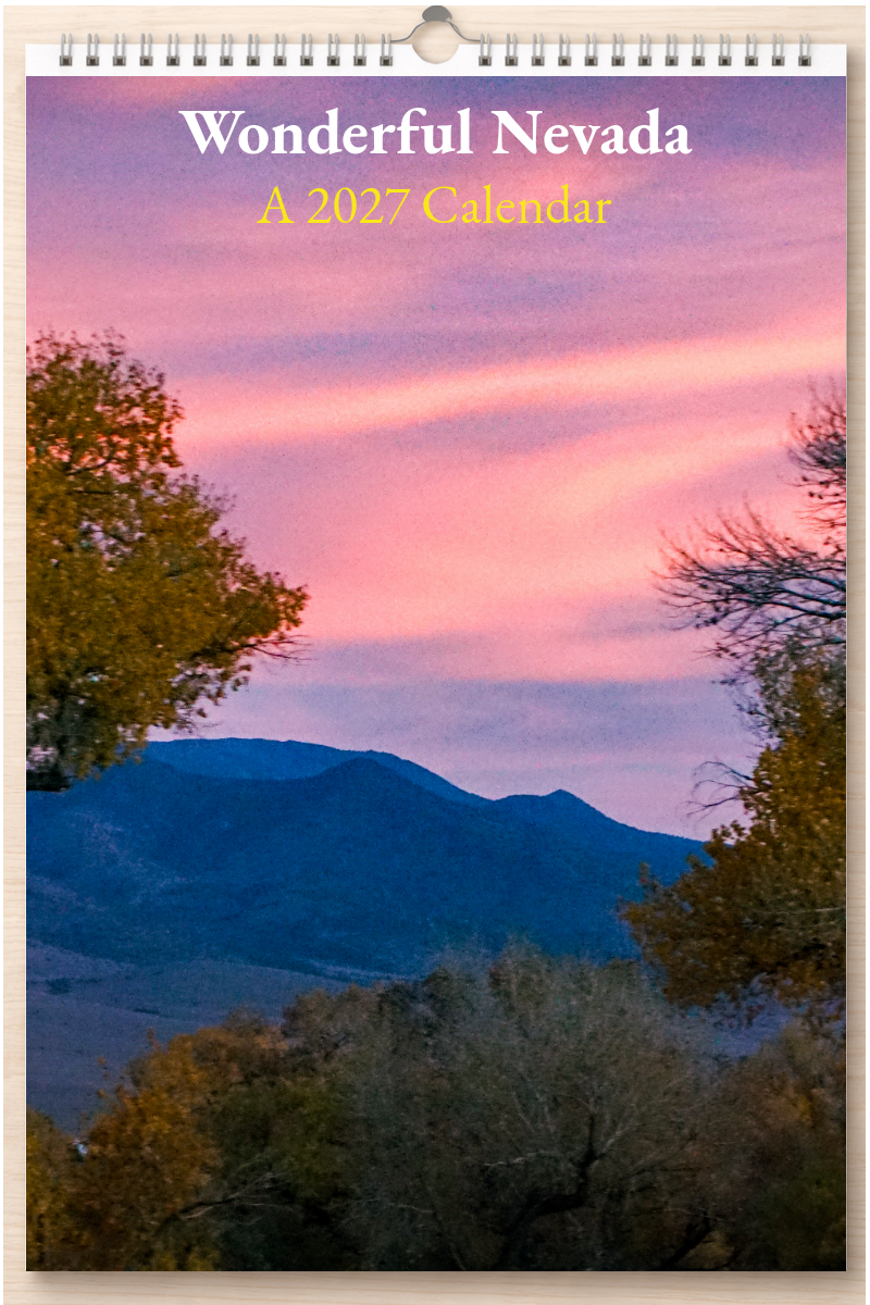 Wonderful Nevada: A 2027 Calendar
