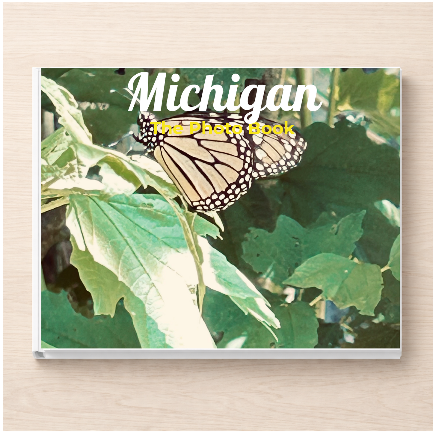 Michigan: The Photo Book