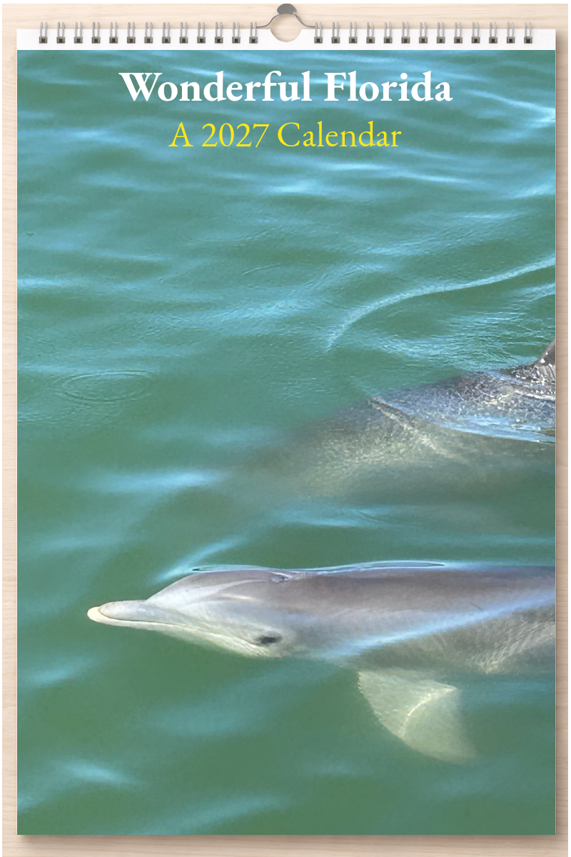 Wonderful Florida: A 2027 Calendar