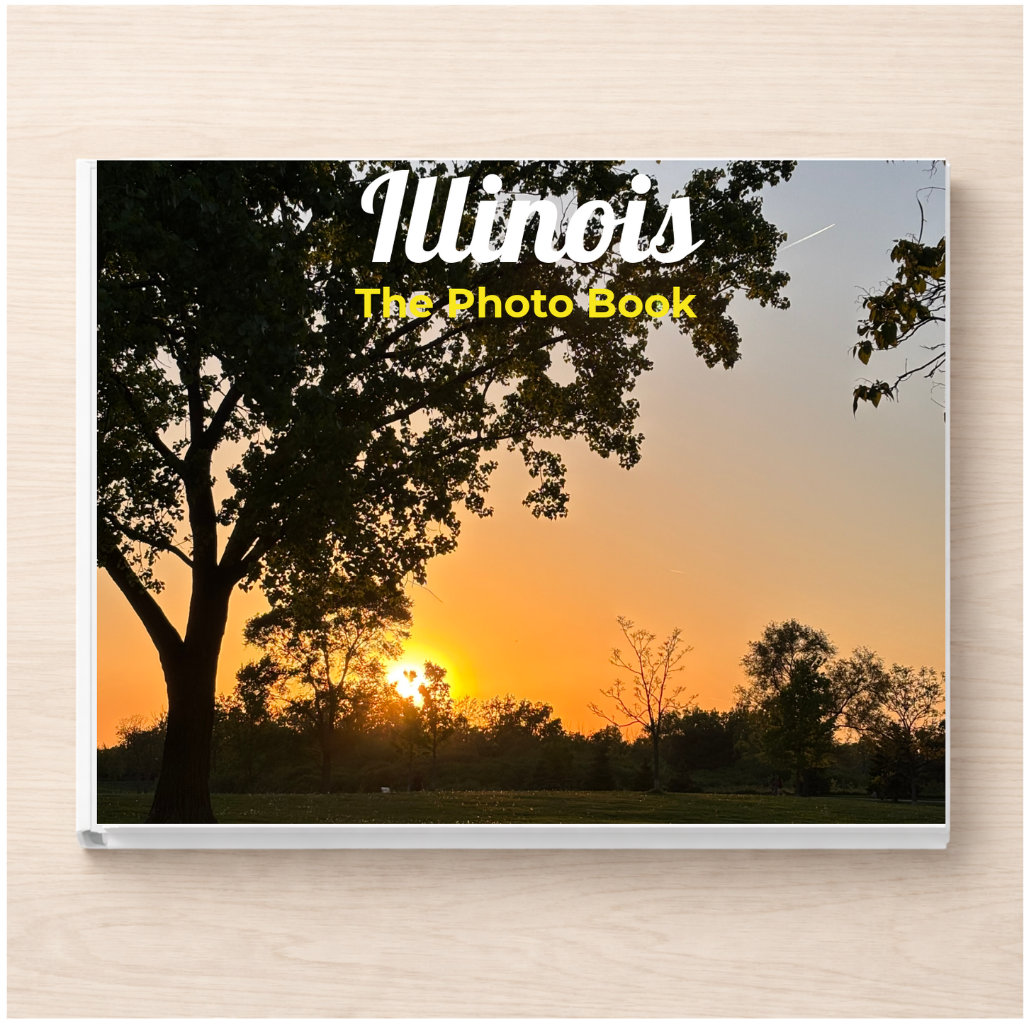 Illinois: The Photo Book
