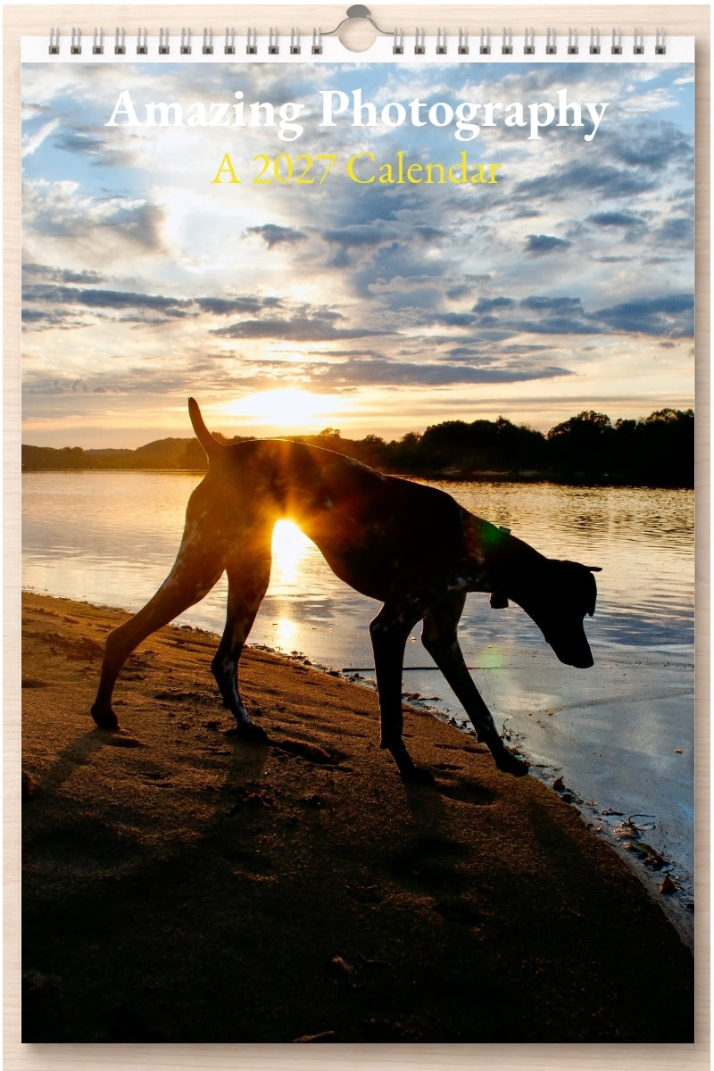 Amazing Photography: A 2027 Calendar