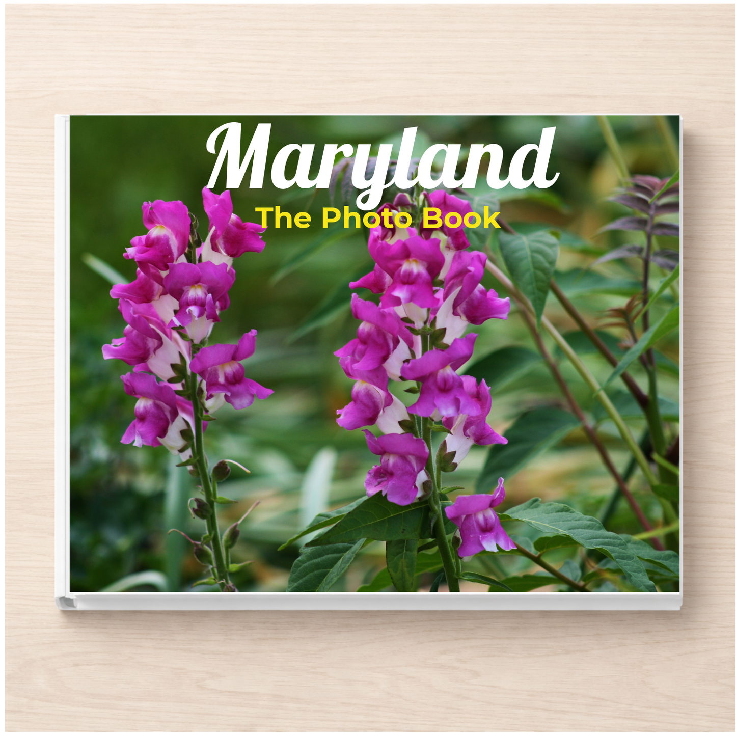 Maryland: The Photo Book