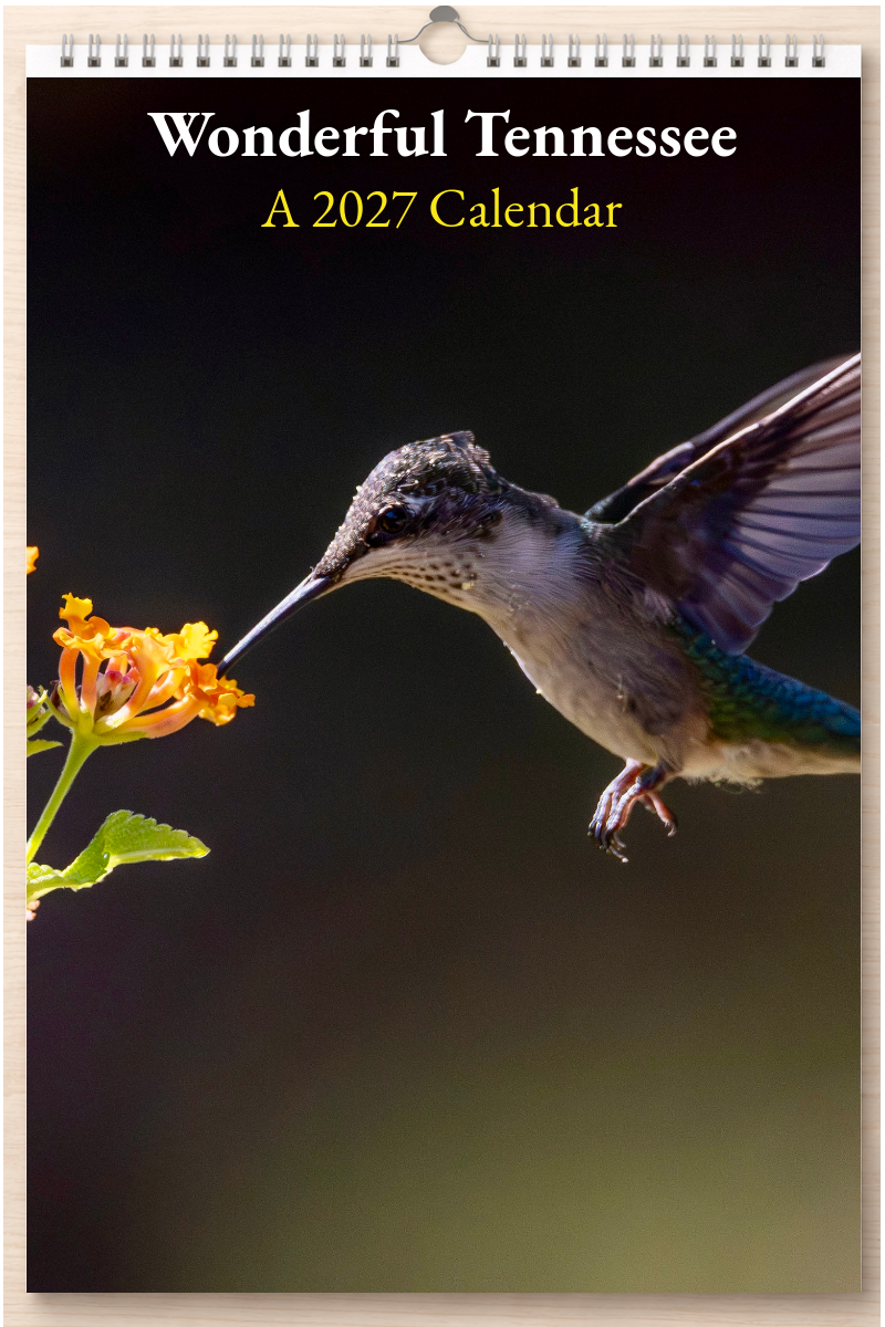 Wonderful Tennessee: A 2027 Calendar