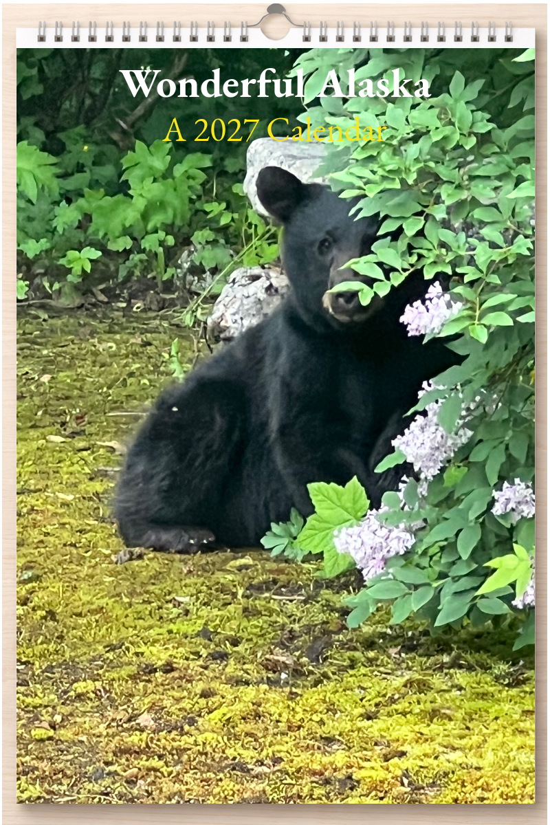 Wonderful Alaska: A 2027 Calendar