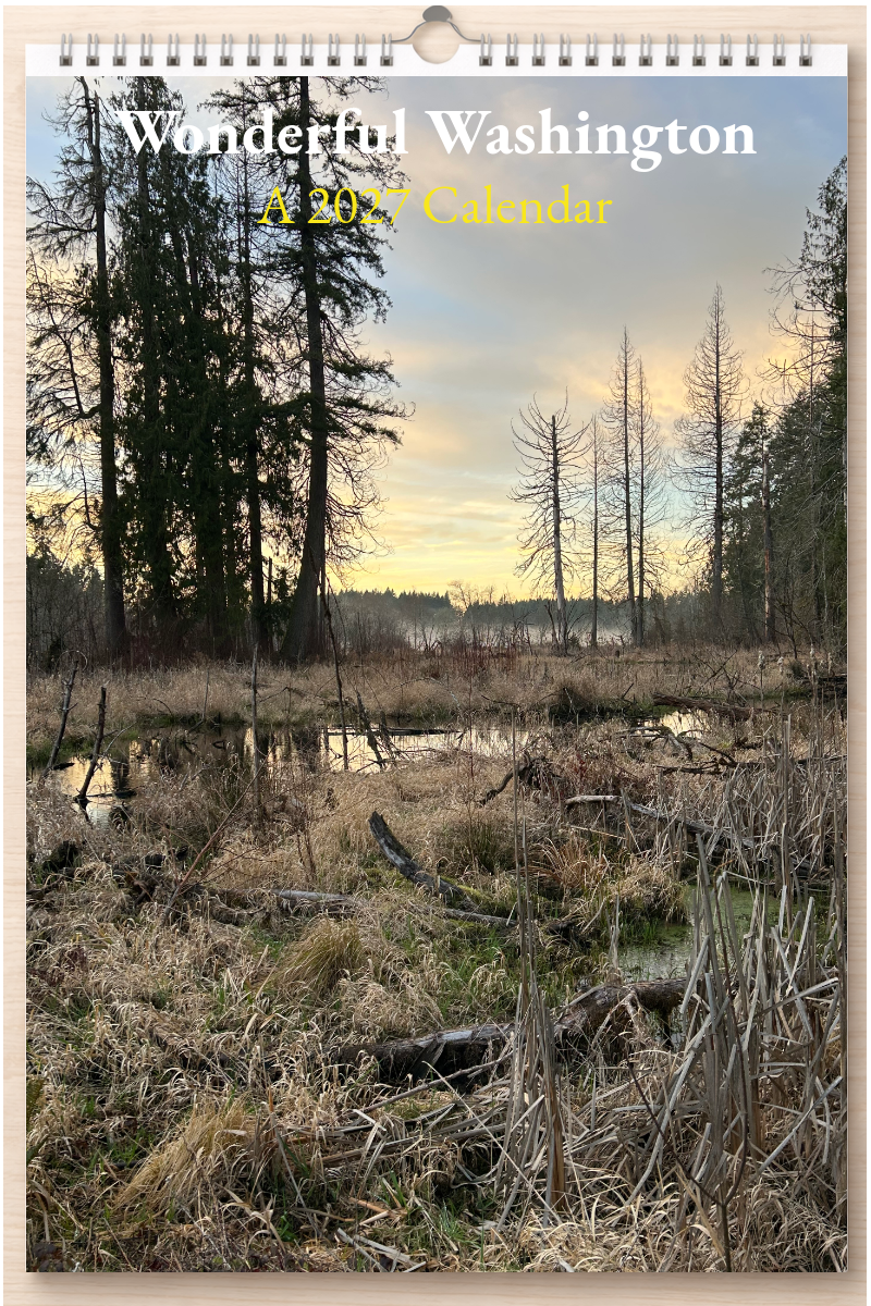 Wonderful Washington: A 2027 Calendar