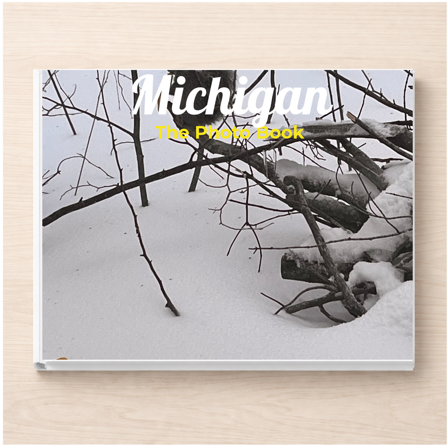 Michigan: The Photo Book
