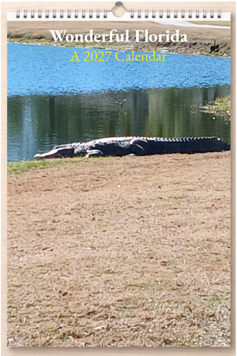 Wonderful Florida: A 2027 Calendar