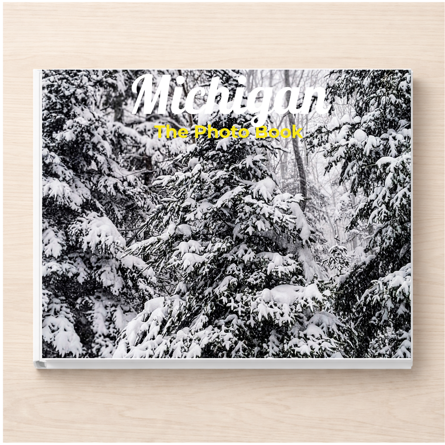 Michigan: The Photo Book
