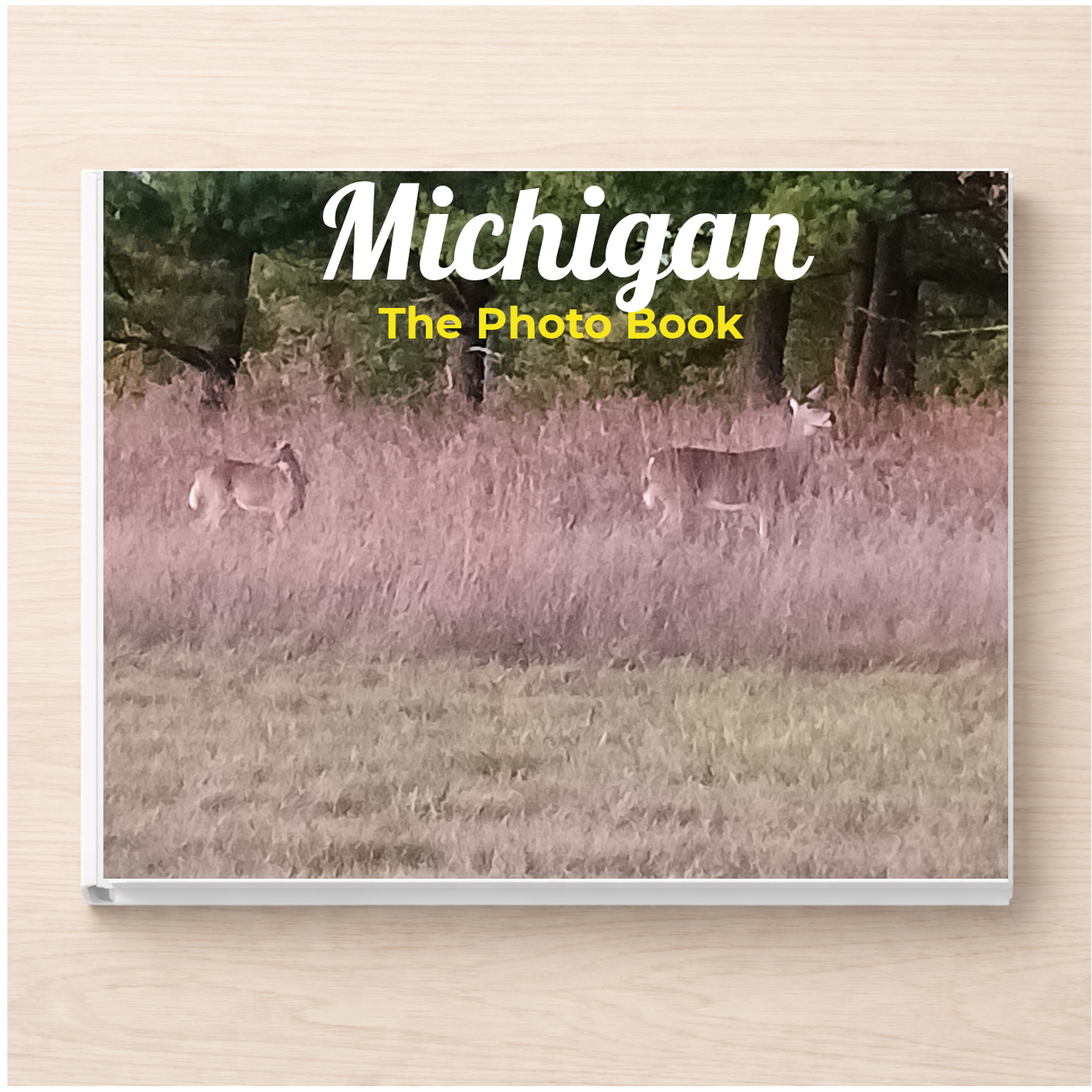 Michigan: The Photo Book