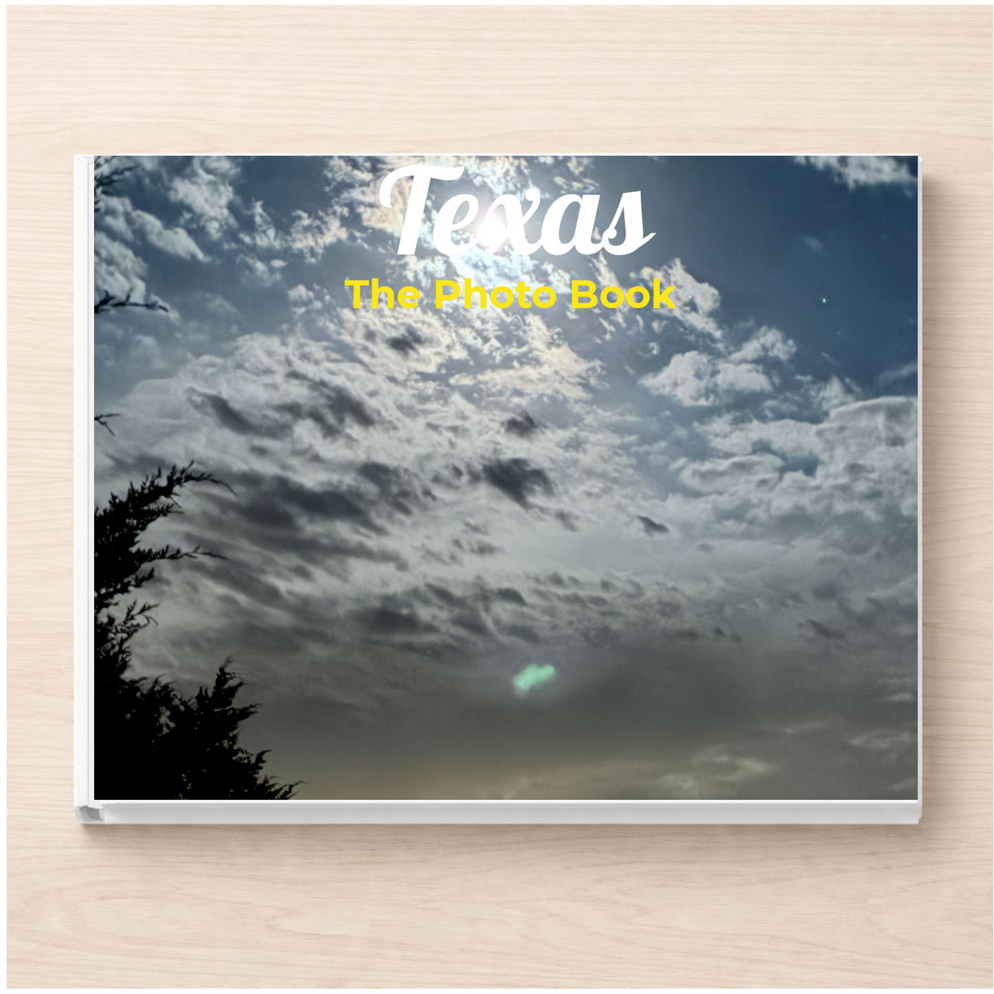 Texas: The Photo Book