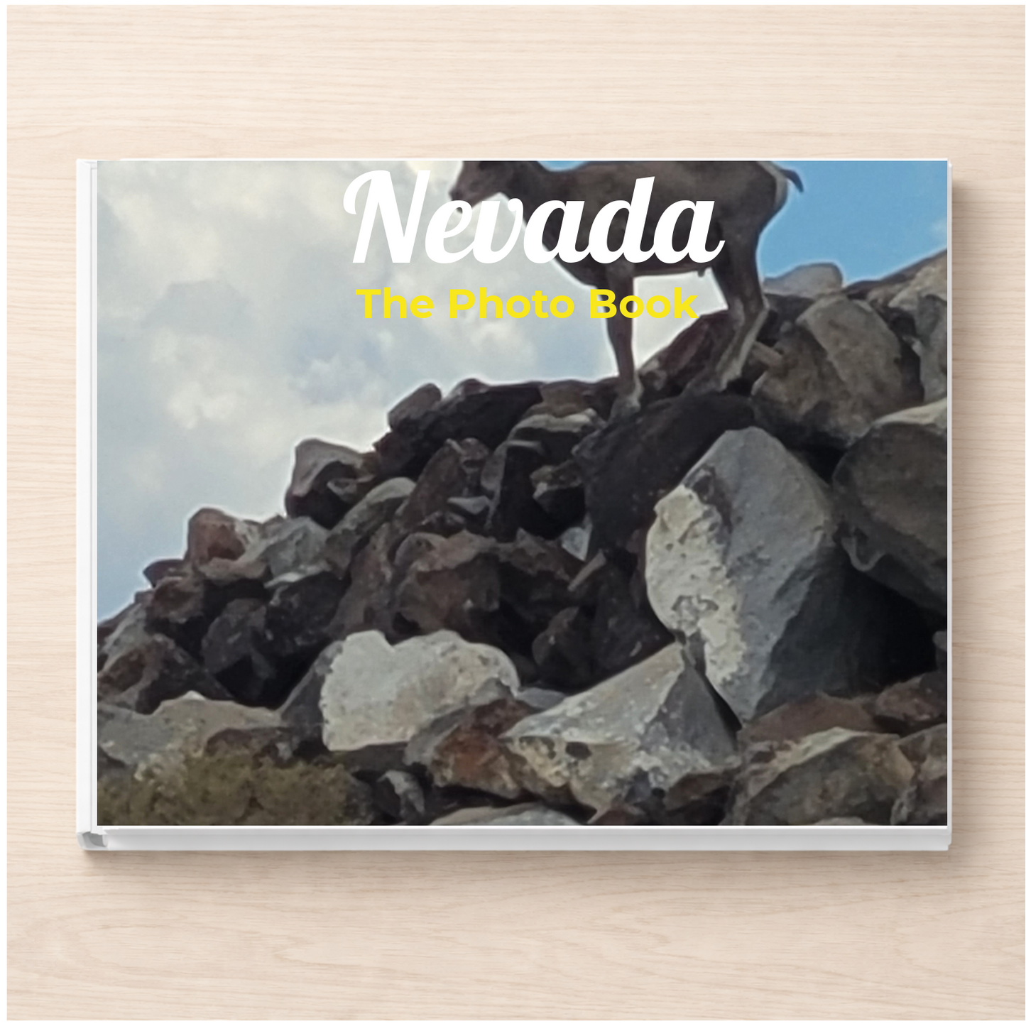 Nevada: The Photo Book