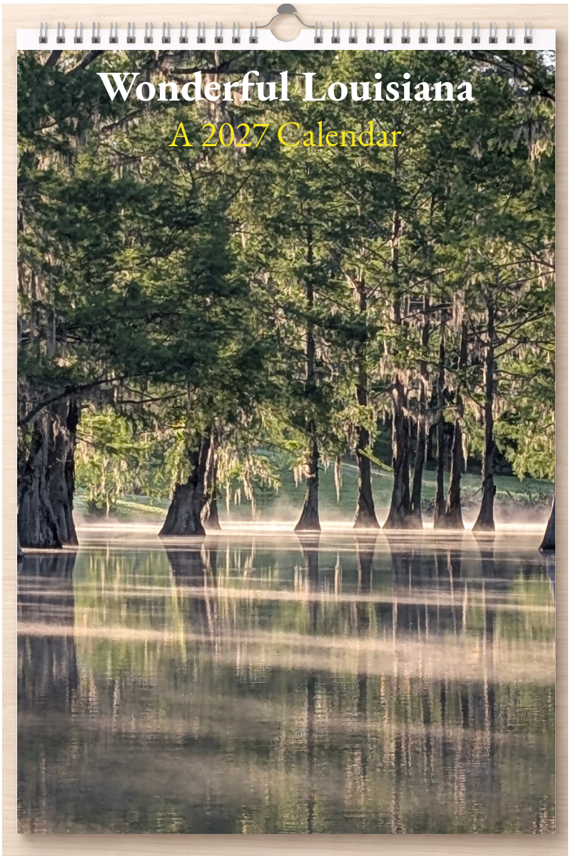 Wonderful Louisiana: A 2027 Calendar