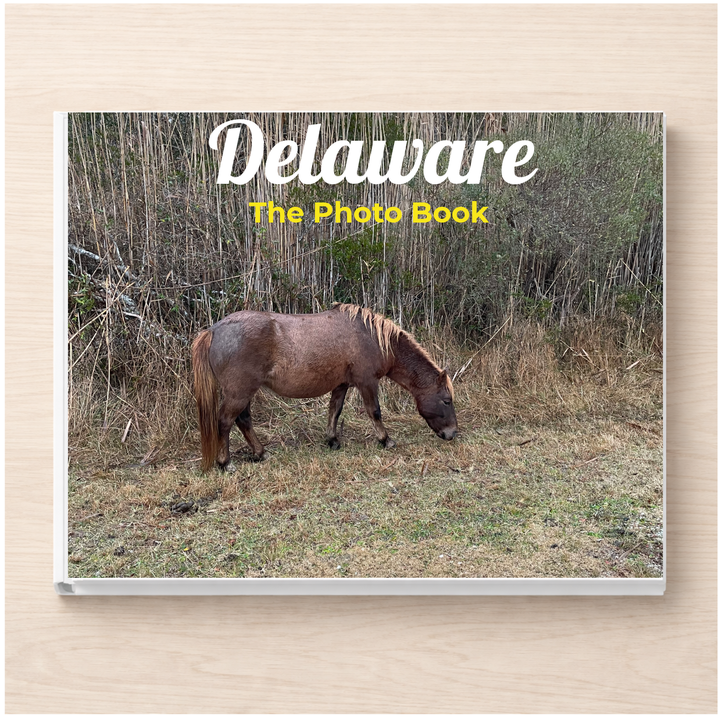 Delaware: The Photo Book