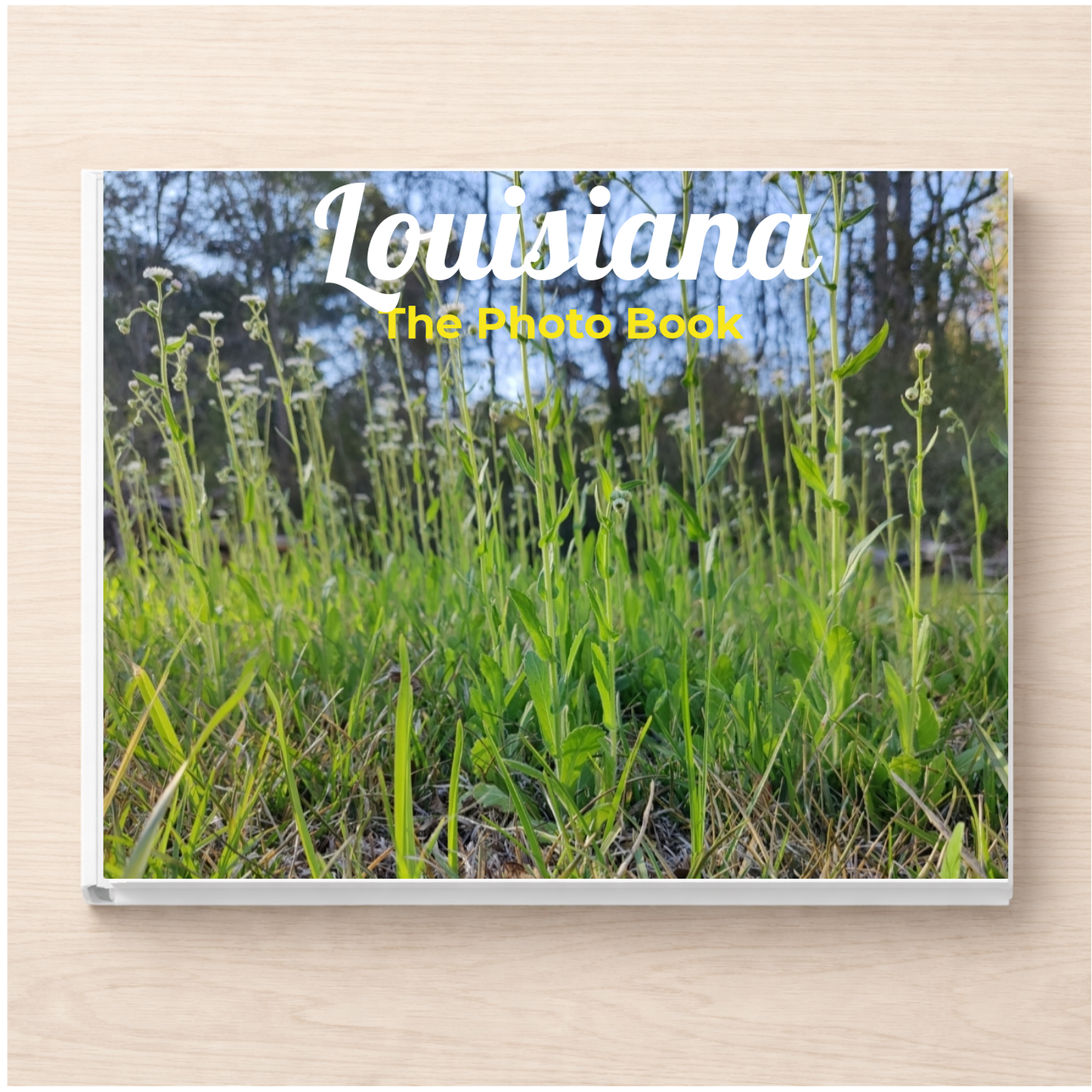 Louisiana: The Photo Book