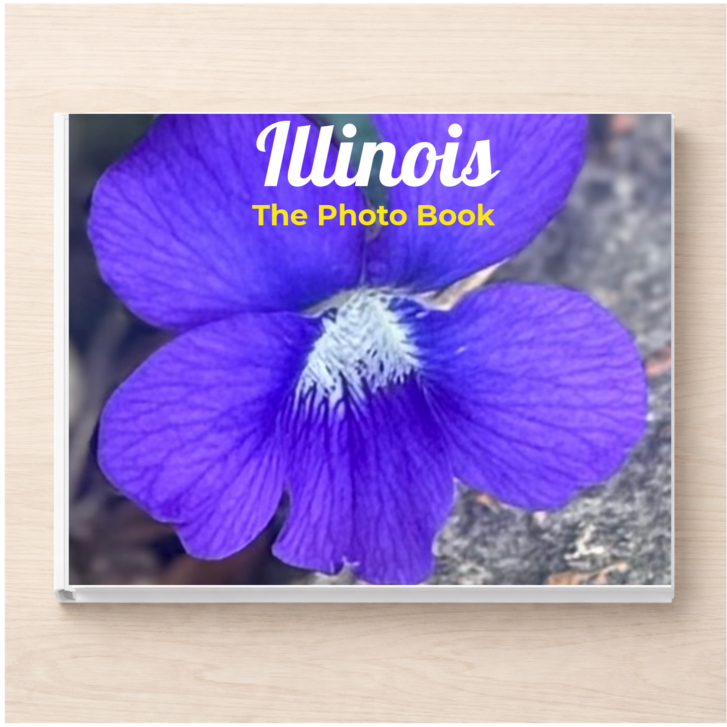 Illinois: The Photo Book
