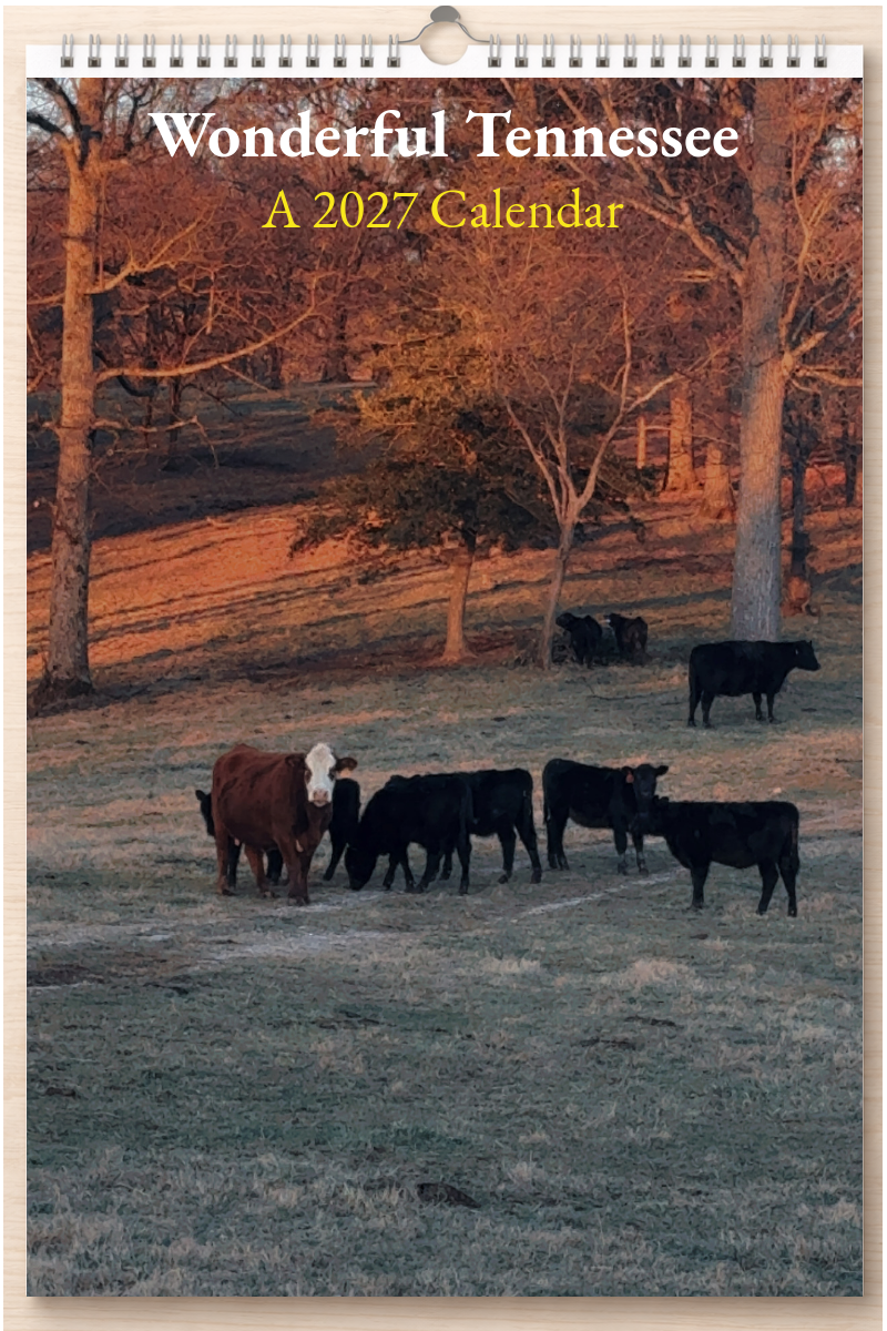 Wonderful Tennessee: A 2027 Calendar