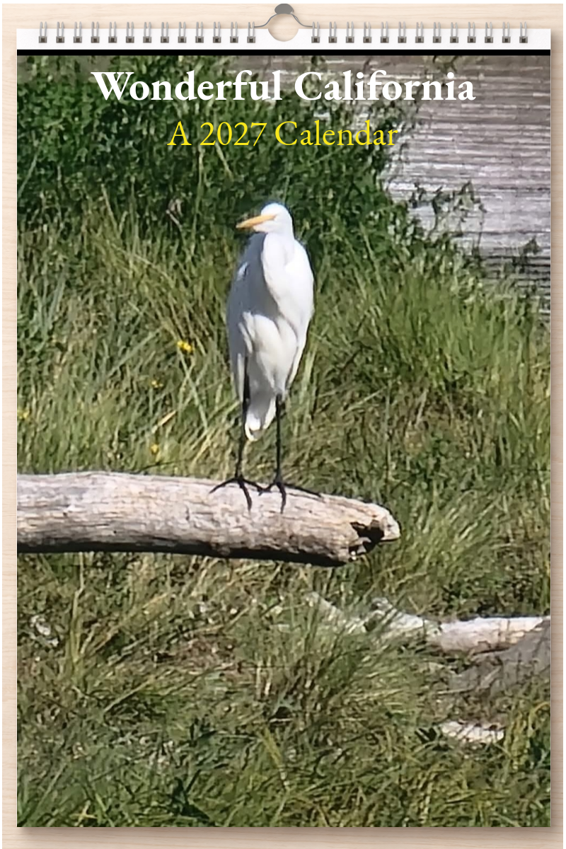 Wonderful California: A 2027 Calendar