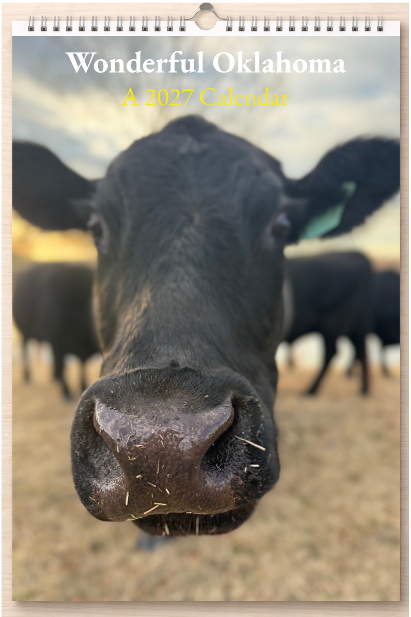 Wonderful Oklahoma: A 2027 Calendar