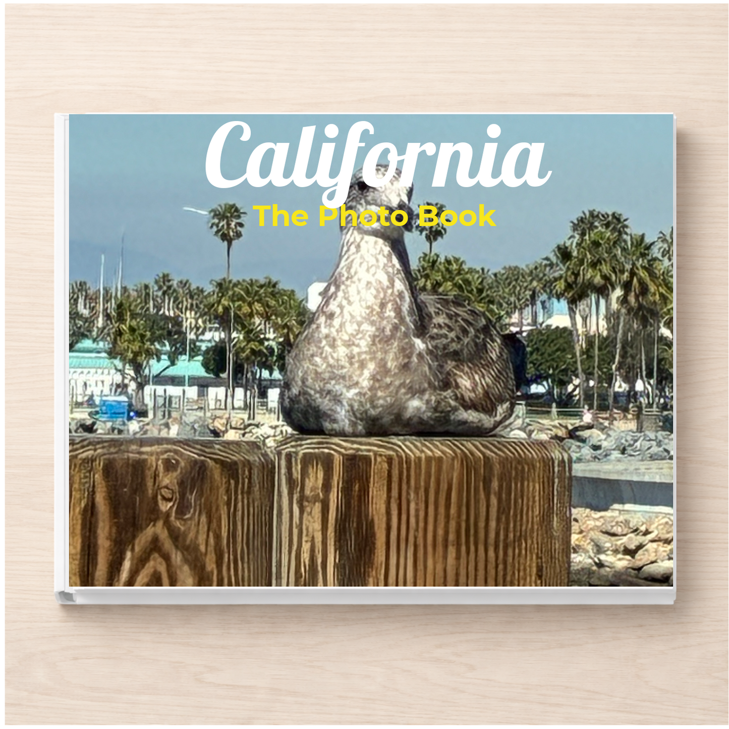 California: The Photo Book