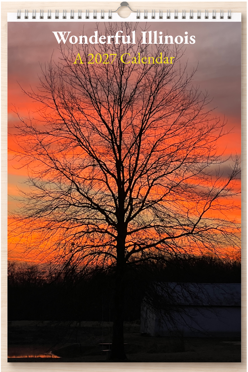 Wonderful Illinois: A 2027 Calendar