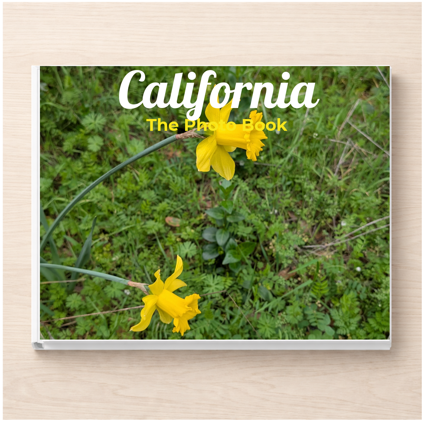 California: The Photo Book