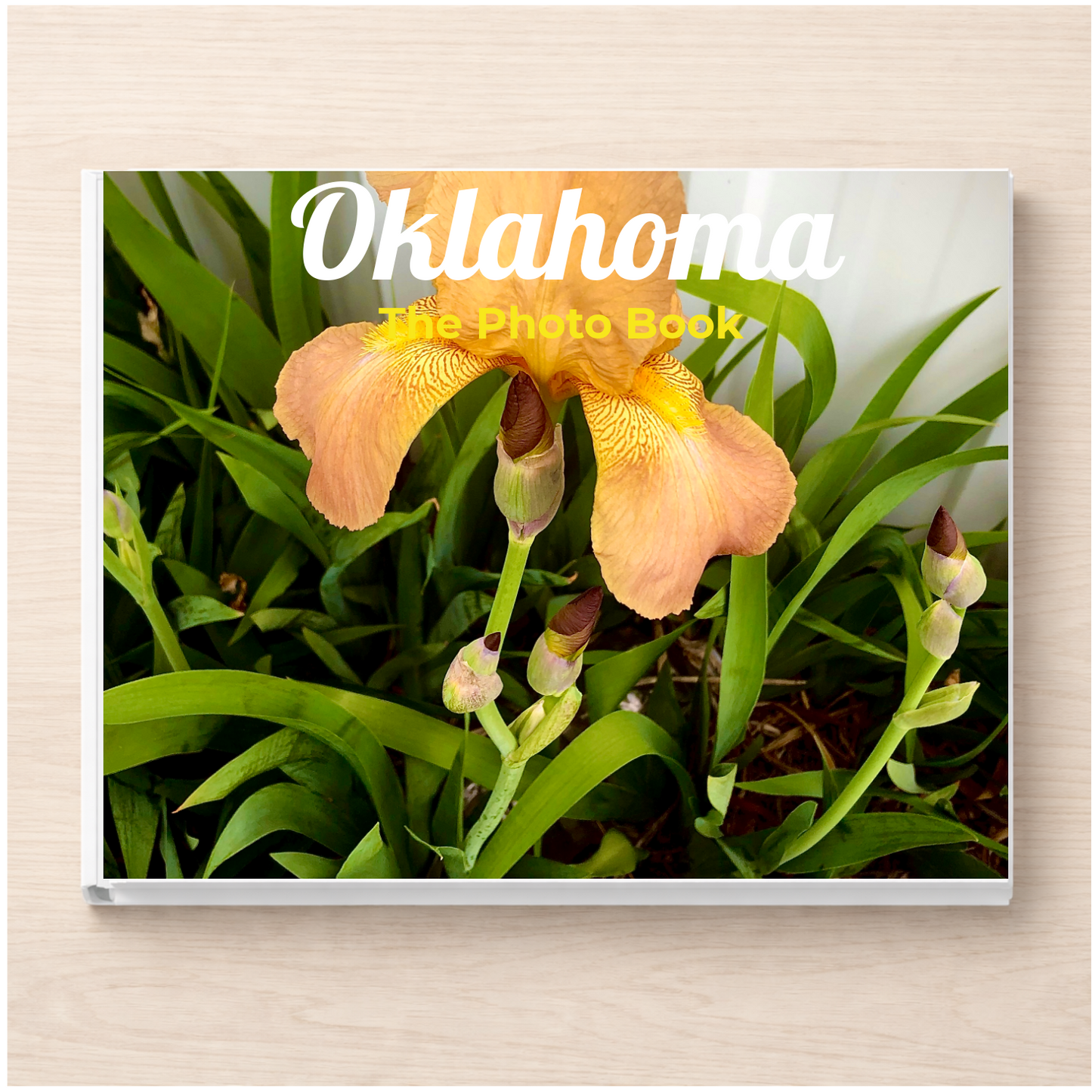 Oklahoma: The Photo Book