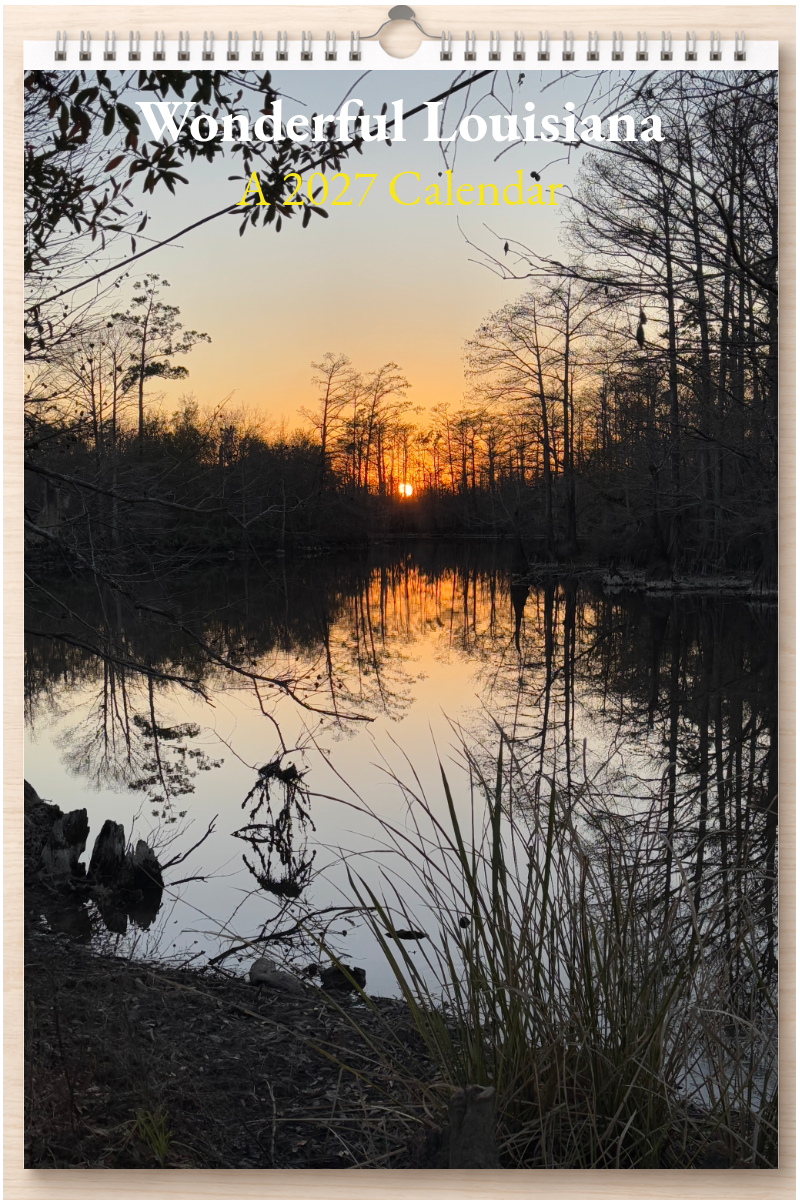 Wonderful Louisiana: A 2027 Calendar
