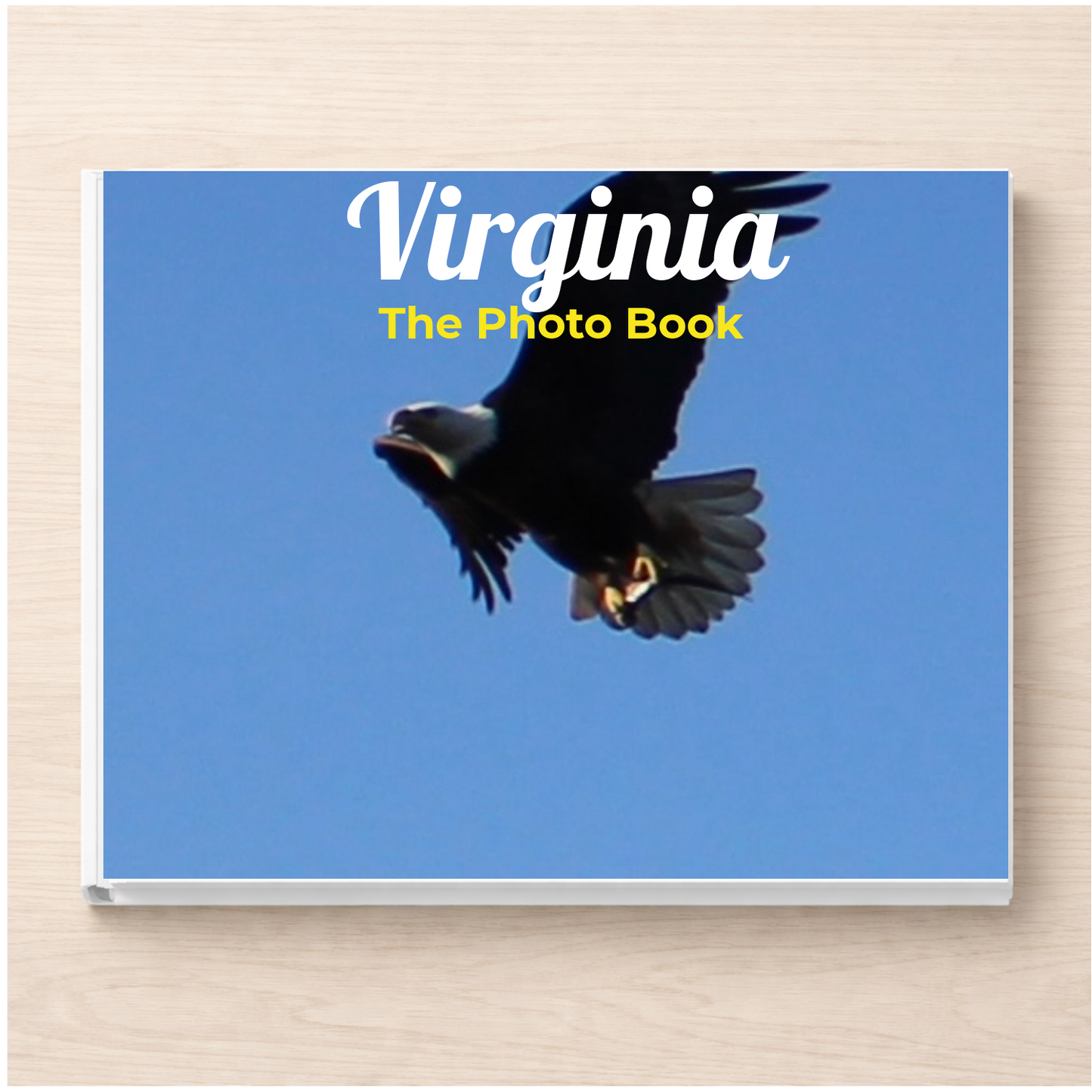 Virginia: The Photo Book